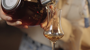白兰地与其他酒的区别
